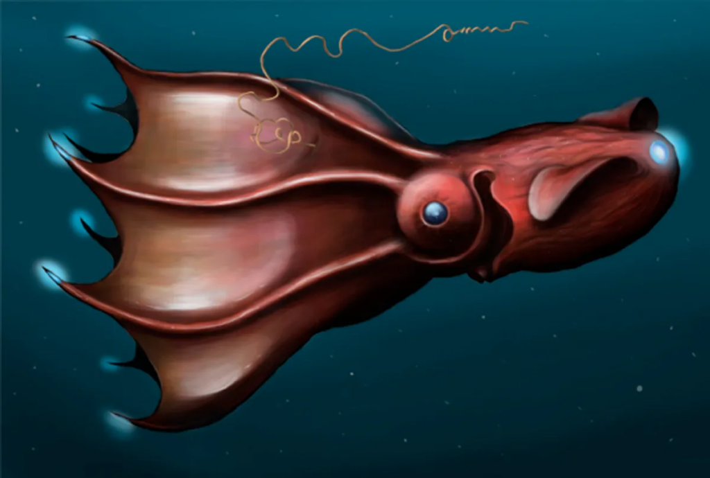 Відкрито вид кальмарів-вампірів Юрського періоду