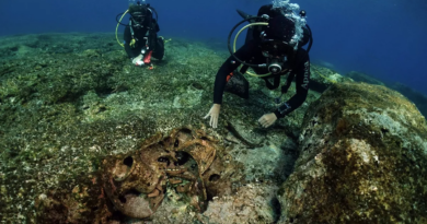 Археологи знаходять затонулі кораблі за підказками з "Іліади" Гомера