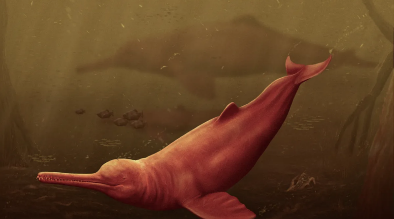 16-мільйонний череп відкрив нового величезного стародавнього дельфіна з річки Амазонки