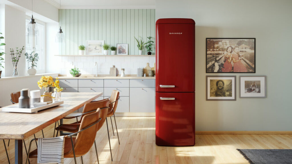 В чем особенность холодильников Gorenje