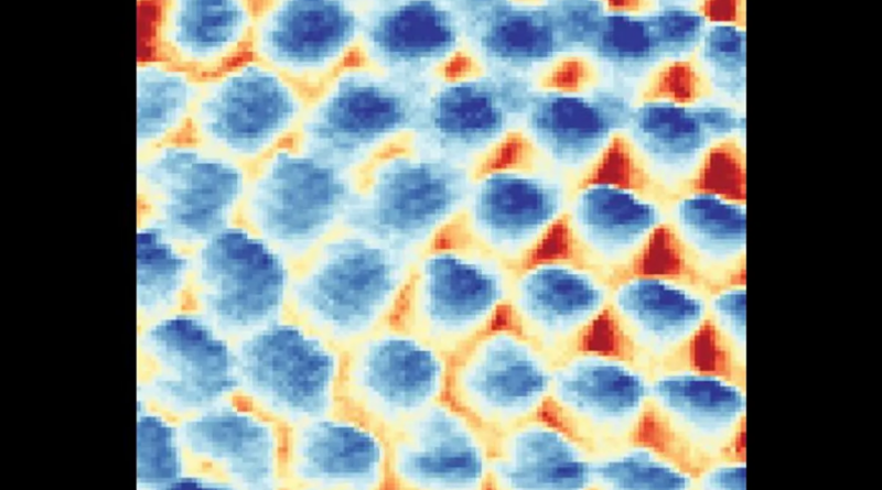 Перша візуалізація квантового електронного кристала нарешті доводить його існування