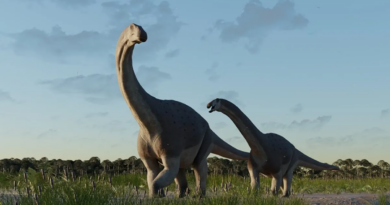 Вчені відкрили новий вид титанозавра
