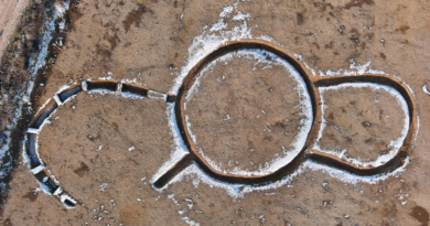 У Франції знайдено загадковий стародавній пам'ятник