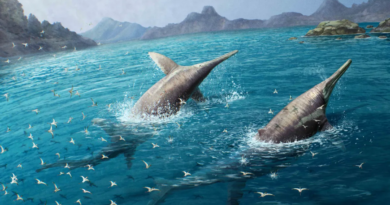202-мільйонний іхтіозавр може бути найбільшою морською рептилією у світі