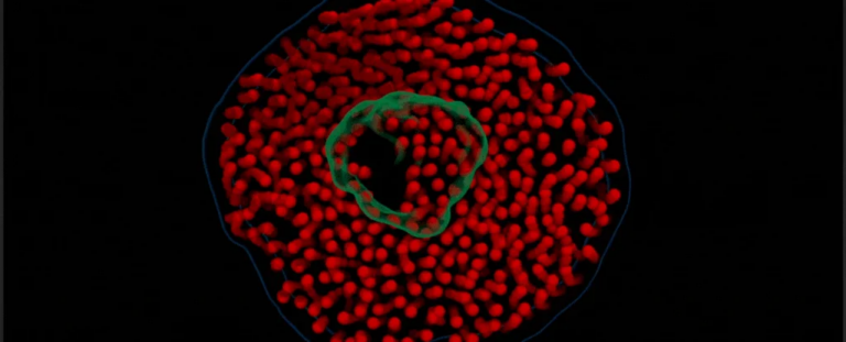 Вчені вперше зняли на відео танець білків і ліпідів