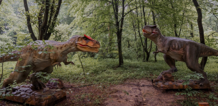 Парк «Уруру» у Львові - розвага, яка здивує