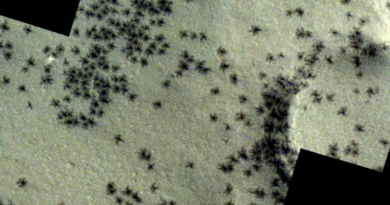 Моторошні "павуки", розкидані по місту інків на Марсі, показані на неймовірних знімках