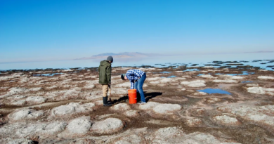 Відкриття нового організму у Великому солоному озері Юти розкриває світ підводного життя