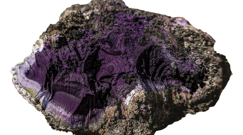 В римській каналізації знайдено таємничий шматок пурпуру, який дорожчий за золото