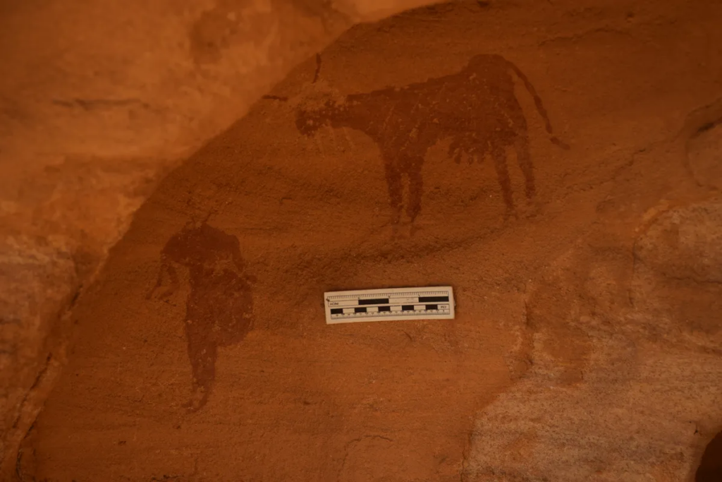Нові знахідки наскельного мистецтва показують, що Сахара була зовсім іншою 4 000 років тому