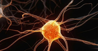 Нейробіолог пояснив, як насправді мислить людський мозок