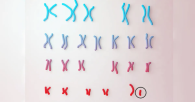 Вчені розповіли, що відбувається з Y-хромосомою