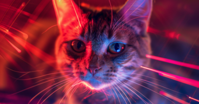 Чому коти обожнюють гратися з лазерними указками, та наскільки це безпечно