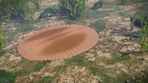 Ослаблення магнітного поля землі 590 мільйонів років тому стало ключем до появи складного життя