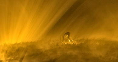 На відео Solar Orbiter зафіксовано пухнасті плазмові структури Сонця