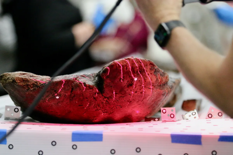 У озері знайшли десять каное корінних американців, що охоплюють 4500 років історії