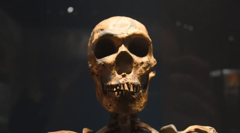 Послідовності ДНК неандертальців виявлено у менш ніж 1 відсотка людей, пов'язаних з аутизмом