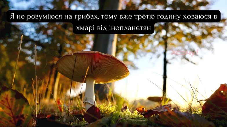 Всі гриби їстівні, просто деякі - лише один раз: приколи, жарти та меми про гриби