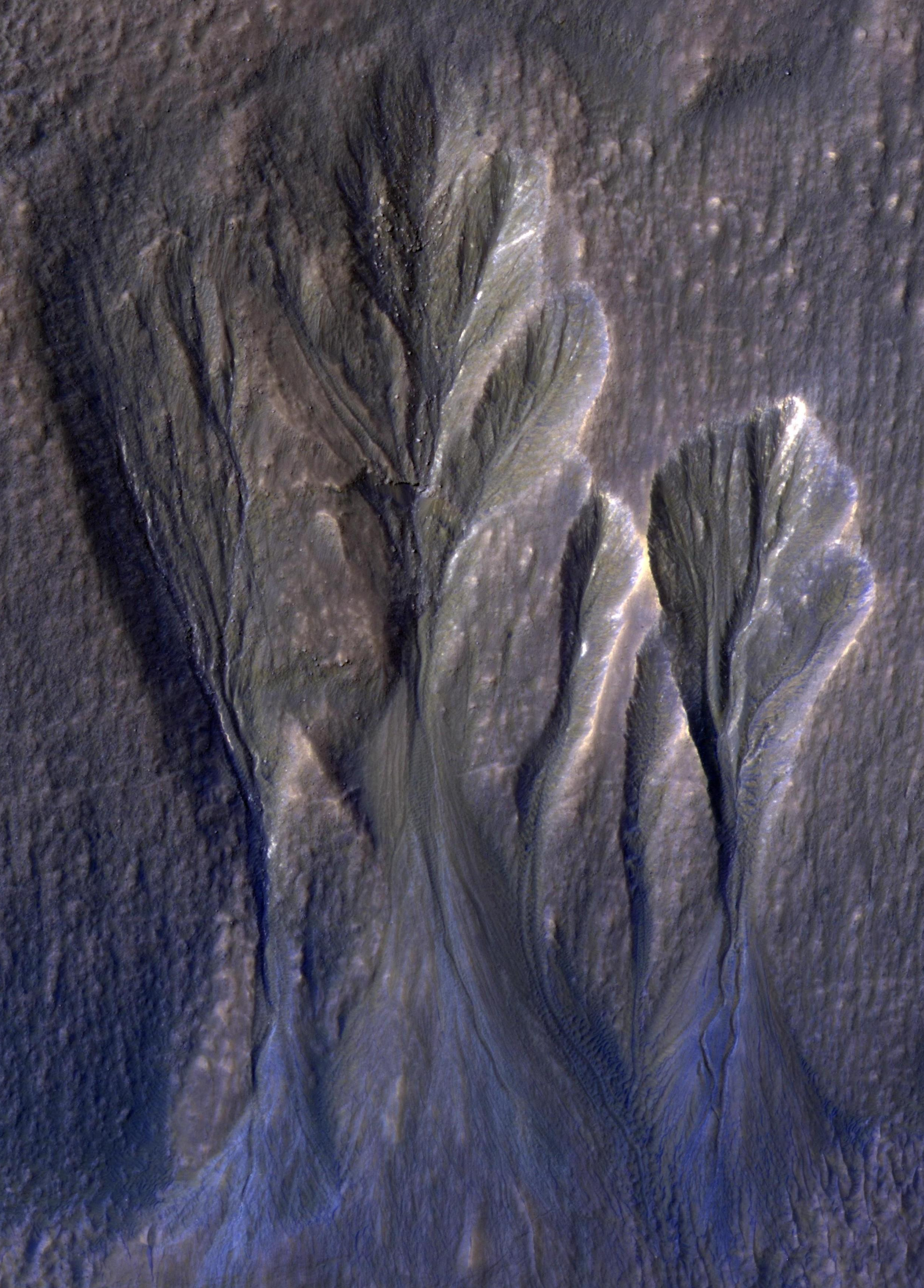 Gullies in Terra Sirenum from the Martian Reconnaissance Orbiter. White areas are suspected to be ice like those investigated in the study.