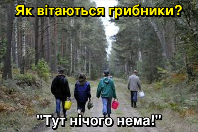 Всі гриби їстівні, просто деякі - лише один раз: приколи, жарти та меми про гриби