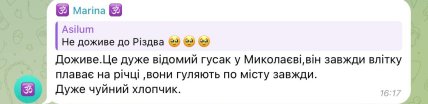 "Аби пережив Різдво": відео з хлопчиком і гусаком у тролейбусі потішило мережу