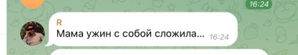 "Аби пережив Різдво": відео з хлопчиком і гусаком у тролейбусі потішило мережу