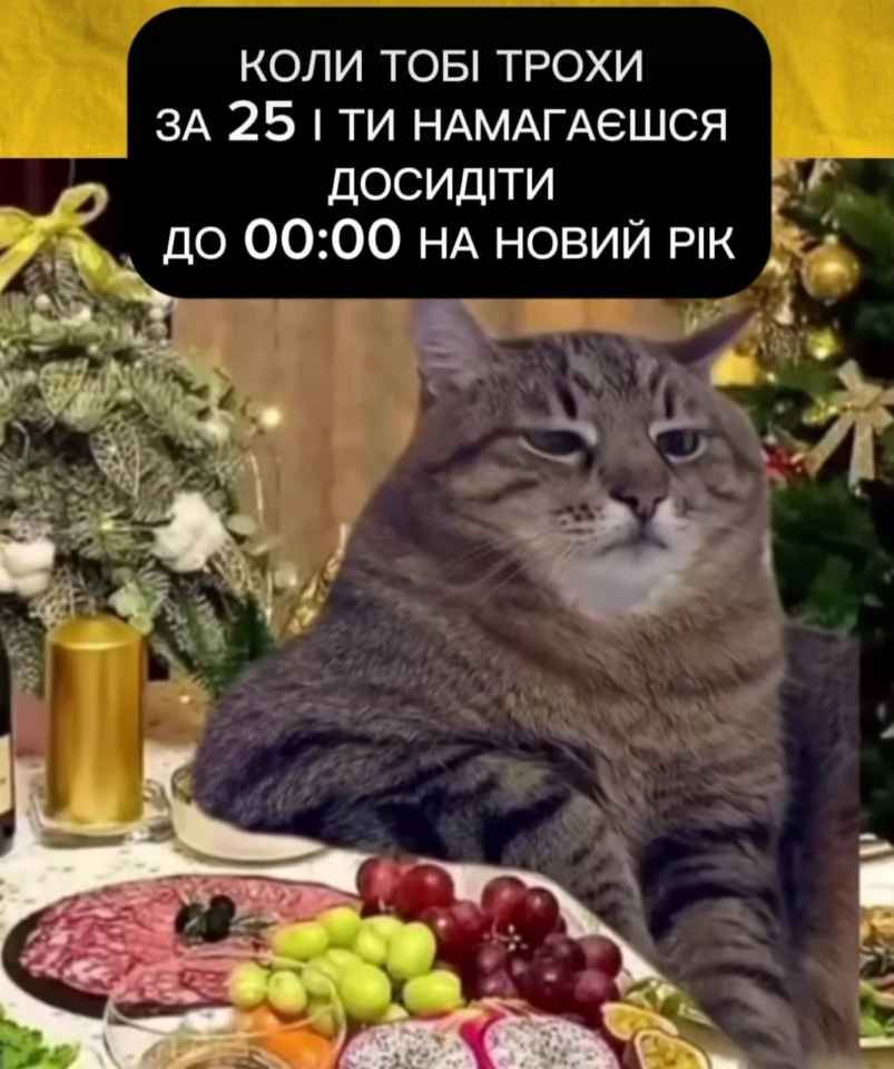 Який Новий рік, такий і настрій: найкращі меми зі святковою атмосферою
