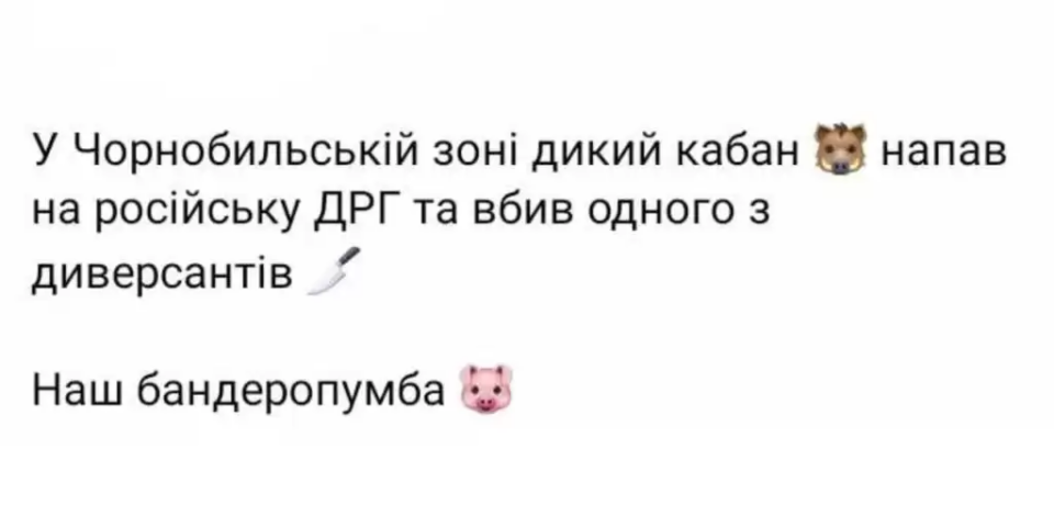 У мережі українці публікують меми про напад кабана на російську ДРГ