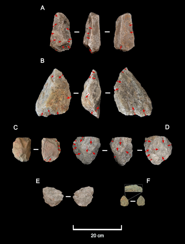 Як Homo erectus виживав у суворих кліматичних умовах 2 мільйони років тому