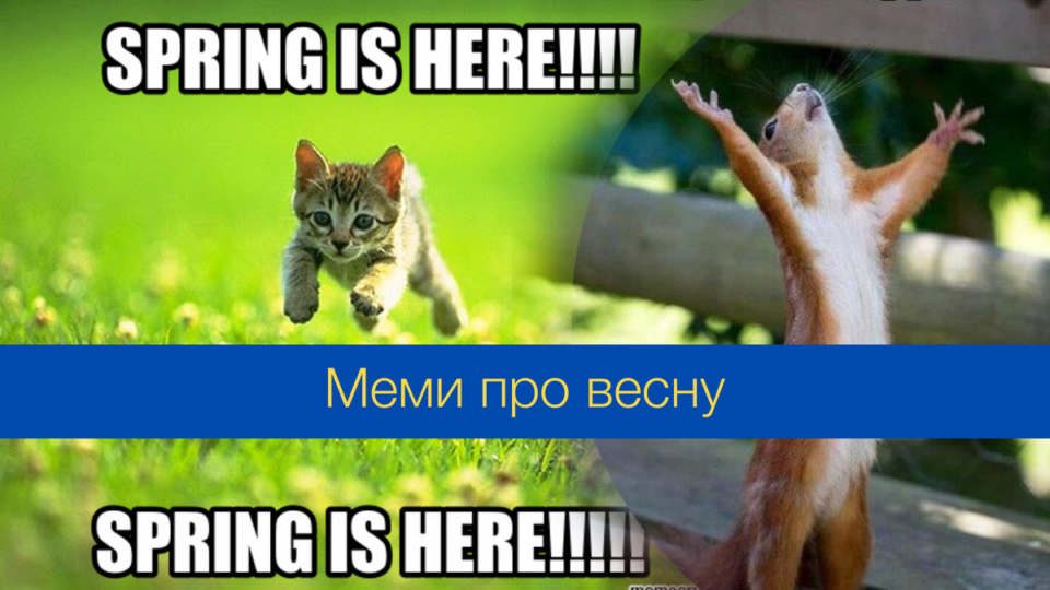 Нехай весна принесе щастя: прикольні картинки та потішні меми про останній день зими