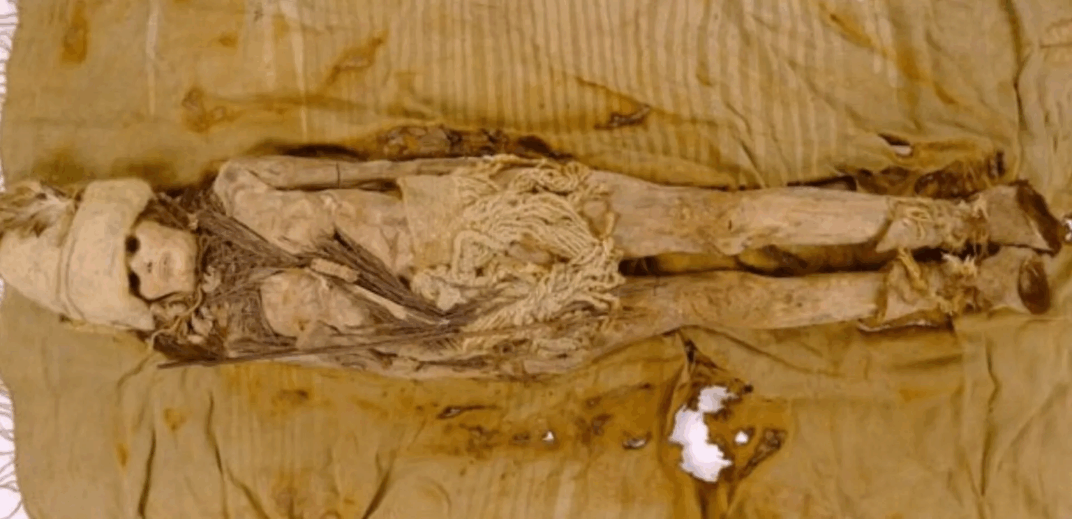 Археологи виявили в китайських муміях найдавніший сир на планеті