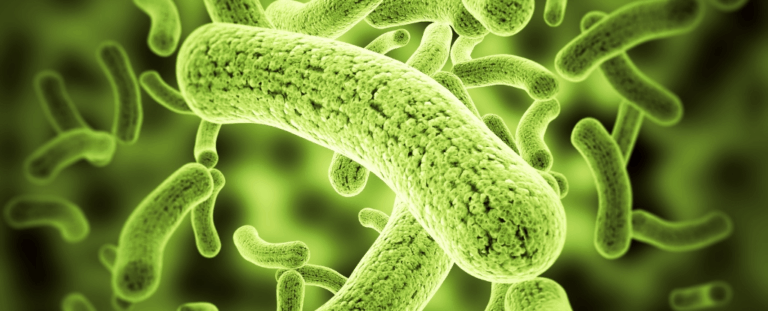 MIT створив бактерії, що виявляють забруднення у ґрунті з допомогою дронів