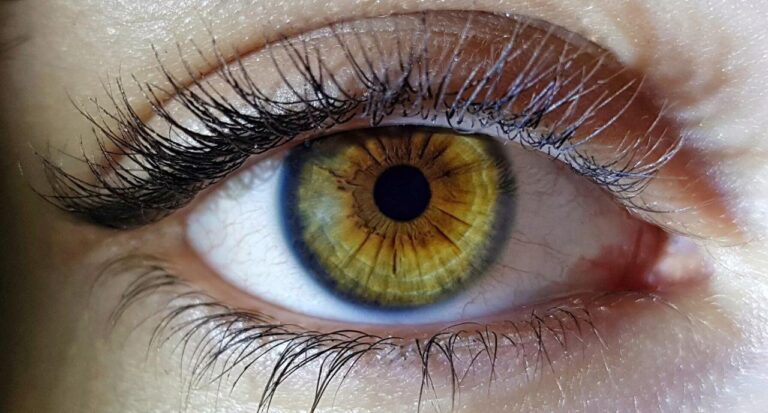 Штучний інтелект навчився діагностувати РДУГ за фотографією ока: точність 97%