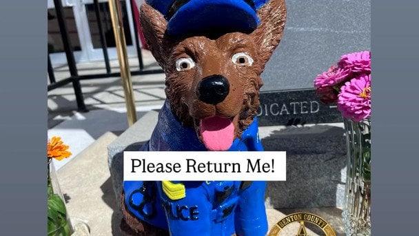 Кур’єр служби доставки викрав «собаку» біля відділку поліції: як він пояснив свій вчинок