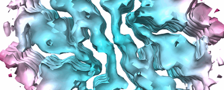 Вчені вперше синтезували білки tau — крок до нових методів лікування Альцгеймера