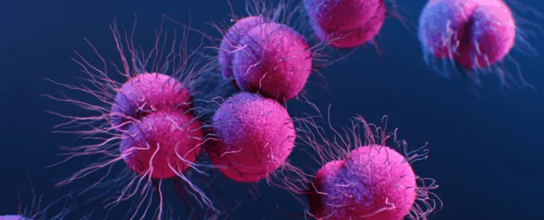 Новий антибіотик змушує гонорею самознищуватись: надія у боротьбі із супербактеріями