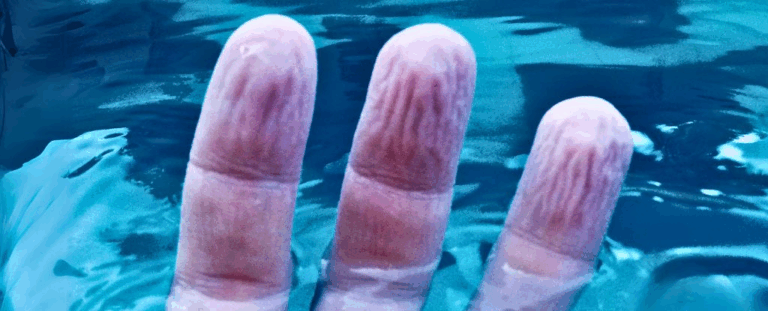 Вчені пояснили, чому пальці утворюють зморшки після занурення у воду