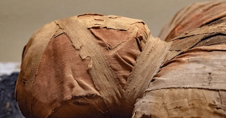 Колишній чиновник Пентагону заявив про виявлення тіл позаземних істот