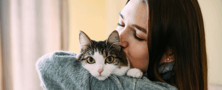 Чи можуть коти замінити собак у терапії: наукові факти про терапевтичних котів