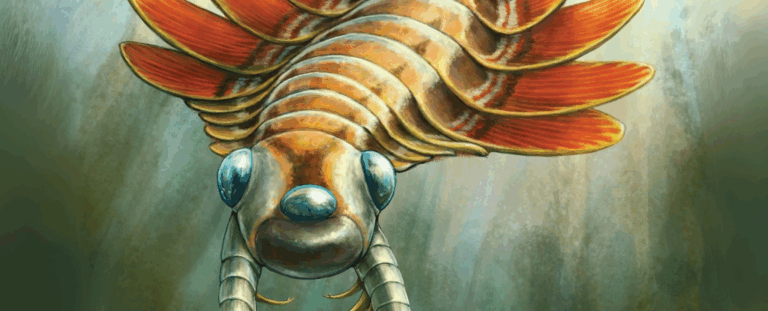 Вчені виявили триокого морського хижака з Камбрійського періоду