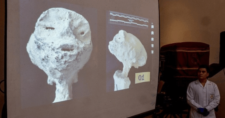 Дослідник, який знайшов тіла двох “інопланетян”, вимагає відправити їх у лабораторію (Фото)