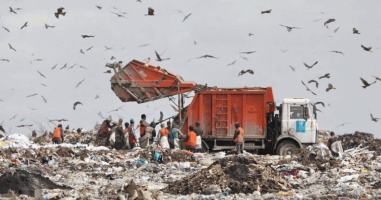 “Невдало махнула рукою”: жінці довелось перерити 28 гектарів сміття на полігоні