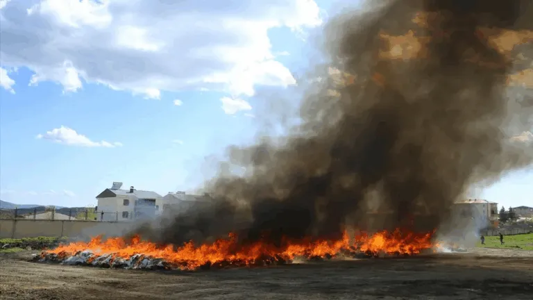 У Туреччині поліцейські спалили марихуану і випадково накурили місто з 25 000 людей: 5 днів не могли відійти