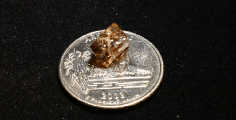 Удача за 13 доларів: турист знайшов великий алмаз під час прогулянки в парку (Фото)