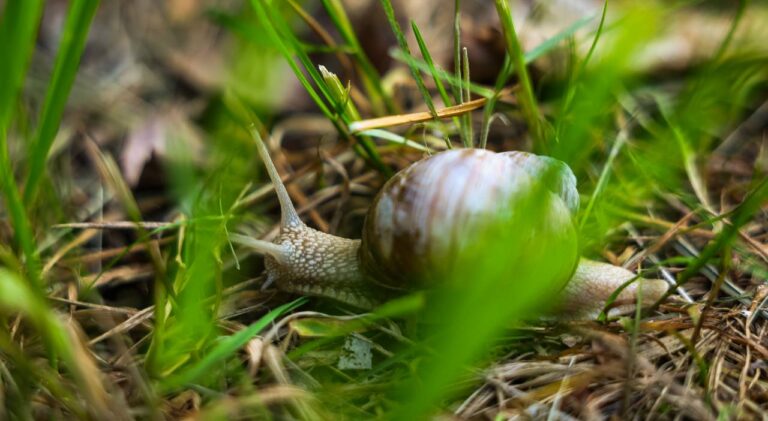 Гороскоп на 21 травня 2025 року для всіх знаків Зодіаку