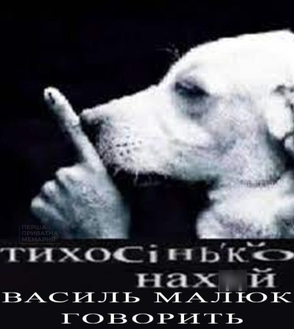 "Підводна братва" Малюка: українці масово створюють меми про підрив Кримського мосту (Фото)