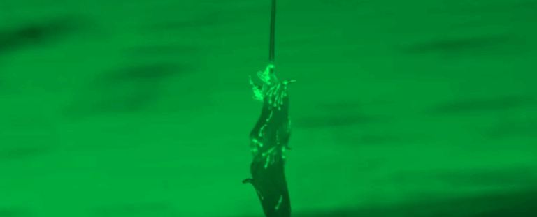 «Башти з хробаків» існують насправді: вчені зафіксували дивовижну стратегію виживання у природі