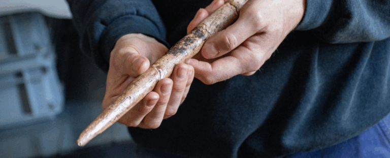 Давні люди використовували кістки китів для виготовлення знарядь ще 20 000 років тому — нове відкриття