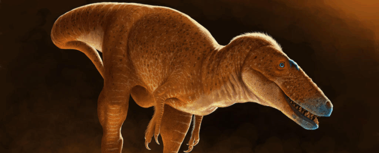 Новий вид динозавра — «Принц-Дракон» — виявився відсутньою ланкою між хижаками-гігантами