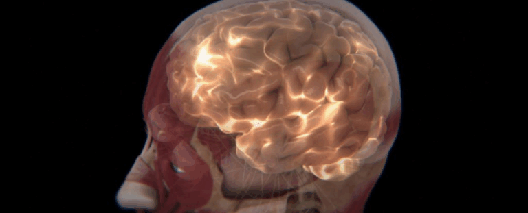 Людський мозок світиться: вчені зафіксували слабке випромінювання, яке змінюється залежно від активності